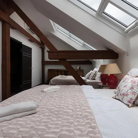 Golden Tree Loft In The Heart Of Apartman